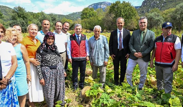 Antalya'da 'Tarla Günü' etkinliğinde bal kabağı hasat edildi