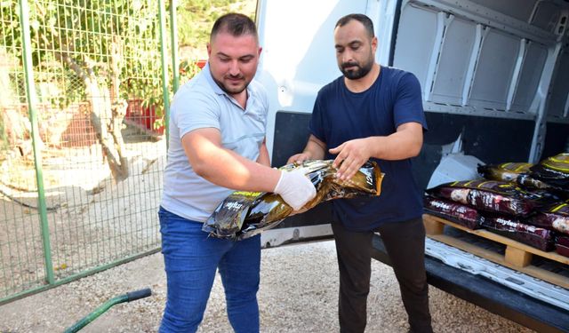 Kumluca'da sporcular kazandıkları ödülü barınaktaki hayvanlara mama alınması için bağışladı