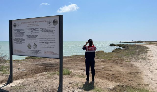 Mersin'de jandarma doğada denetimlerde bulundu