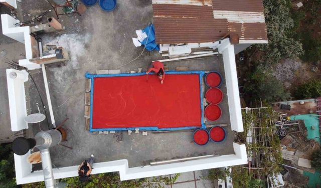 Adana’da damlar kırmızıyla renklendi: Güneşle pişen emek