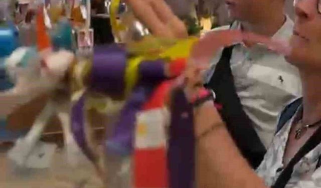 Havalimanındaki dilek ağacı her şey dahil ağacına döndü
