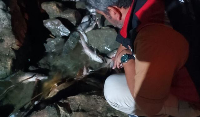 Ceyhan Nehri’ndeki kirlilikle ilgili numune alındı