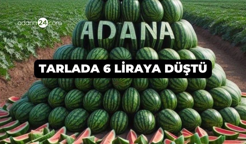 Sıcaklar Adana'da karpuzu vurdu: Tarlada kilosu 6 liraya düştü!