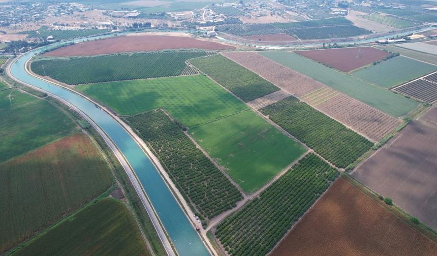 Adana çiftçisine 'su yok, ekim yapmayın' uyarısı