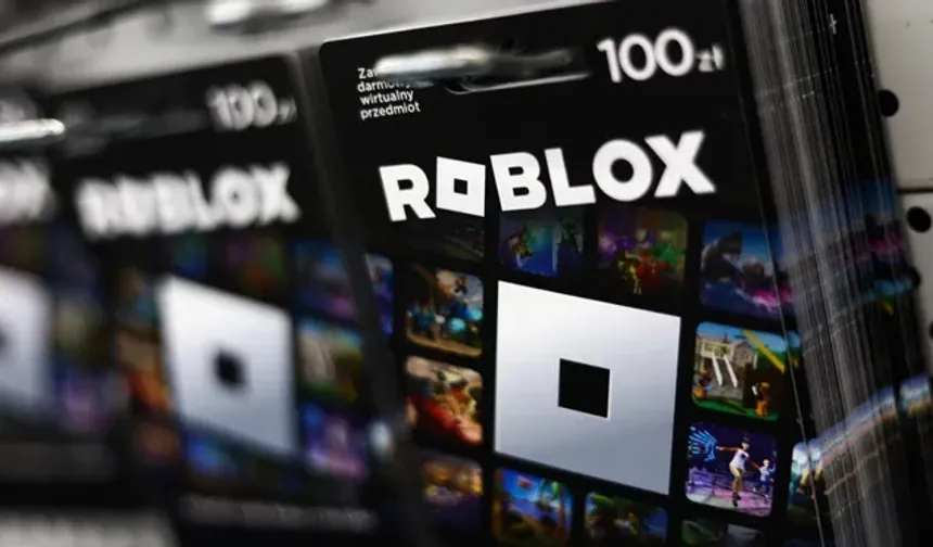 Adana 6. Sulh Ceza Hakimliği Roblox’a erişim engeli getirdi