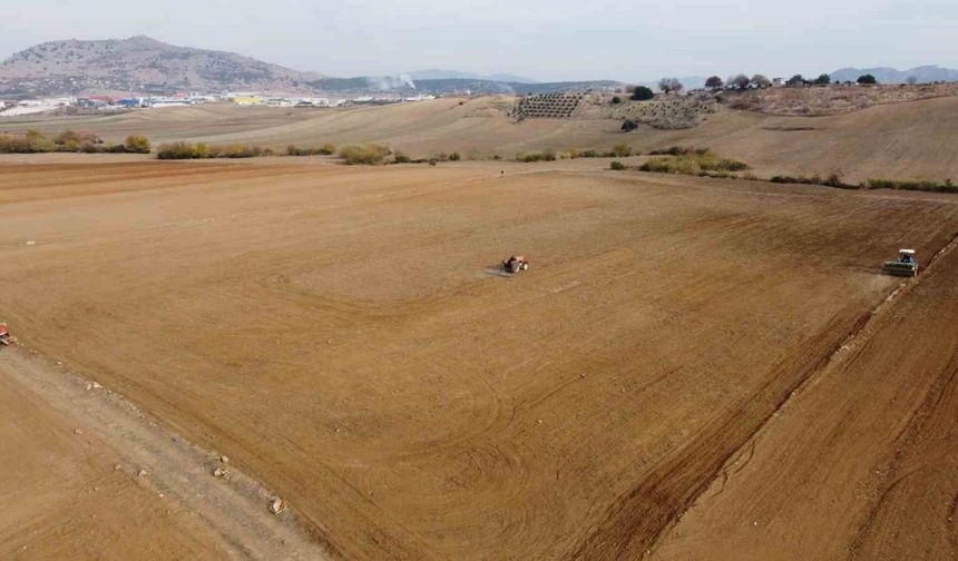 Adana’da buğday taneleri toprakla buluştu