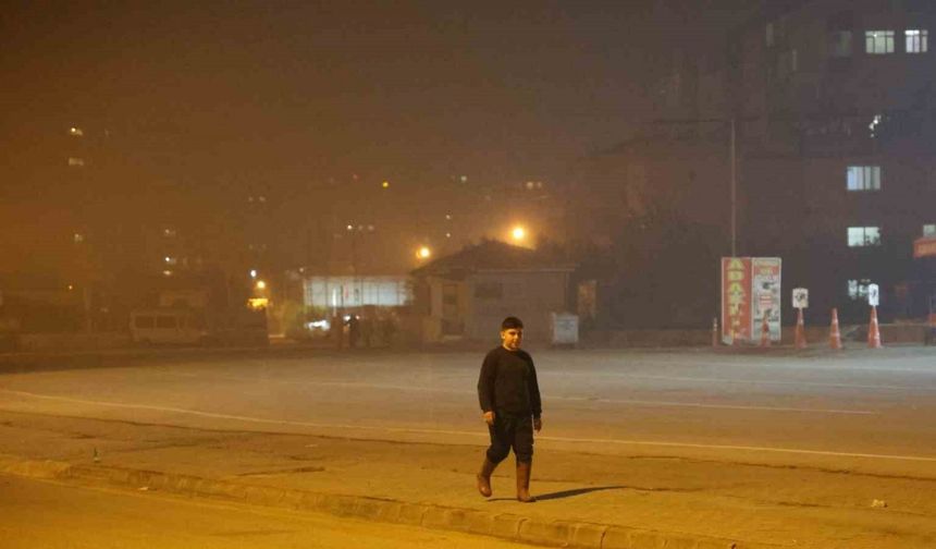 Kalitesiz kömür: "Adana’da solunum yolu ölüm artış oranları Türkiye ortalamasının üzerinde"