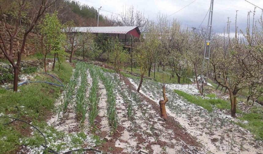 Kozan’da dolu yağışı etkili oldu
