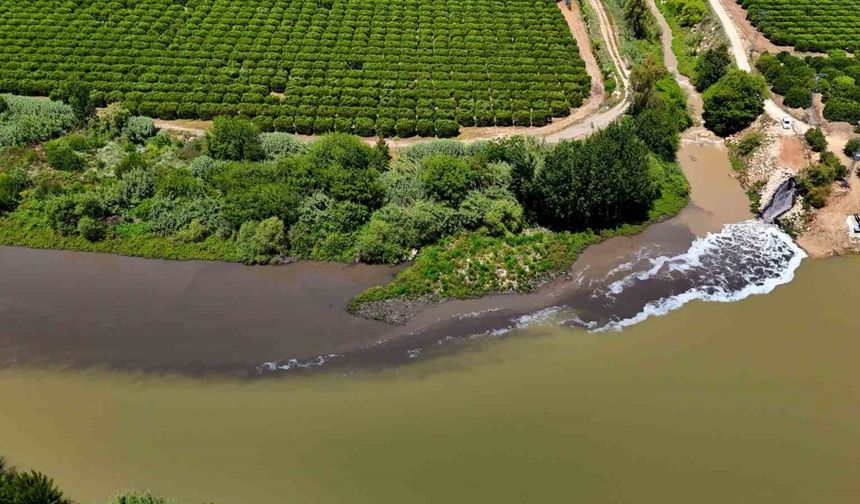 Ceyhan Nehri kirlilikten köpürdü