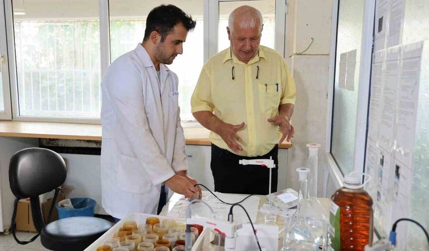 Akdeniz’in bozulan toprak sağlığı mercek altına alındı
