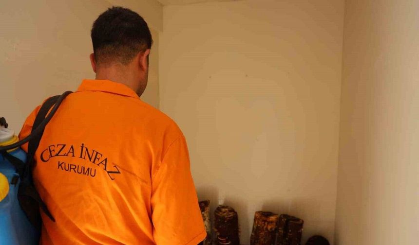 Hükümlüler, kilogramı 15 bin TL’ye kadar çıkan ’Kırmızı Reishi’ mantarı yetiştirdi