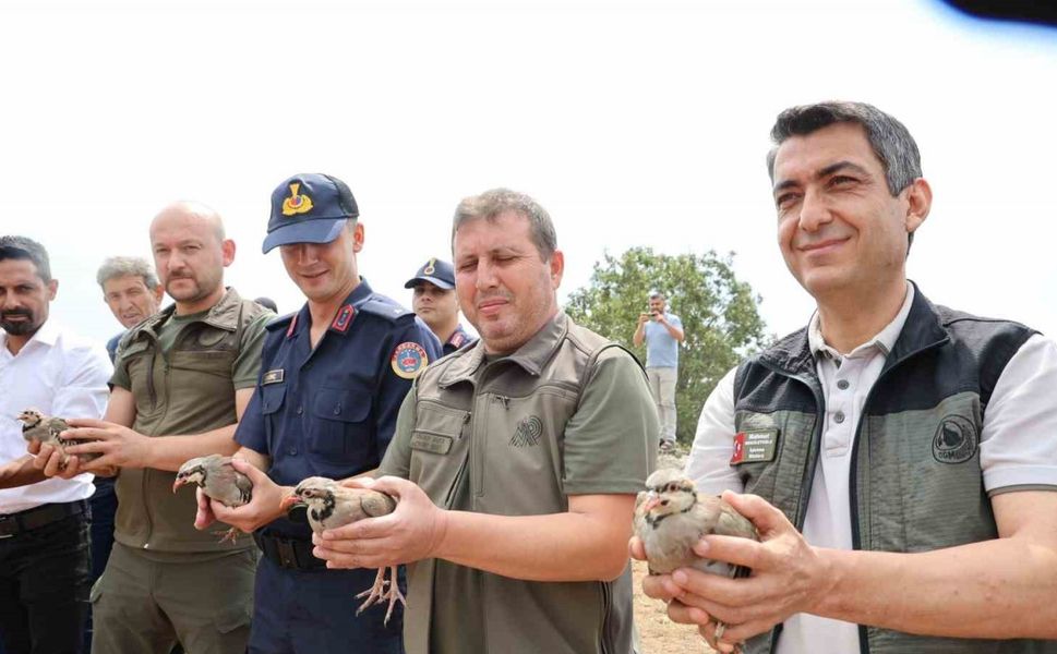 Adana’da doğaya 500 keklik salındı