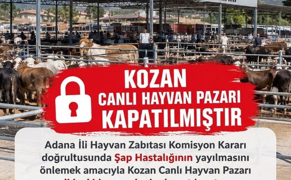 Kozan canlı hayvan pazarı şap hastalığı nedeniyle kapatıldı