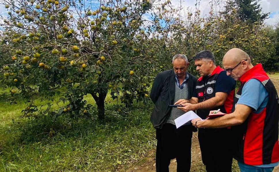 Kozan'da dolu hasarı için ön tespit çalışmaları başladı